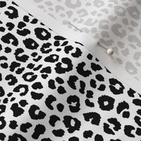 Leopard Black & White small