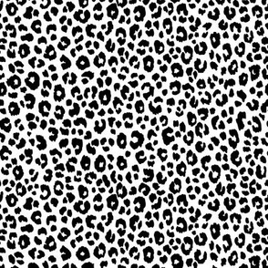 Leopard Black & White small