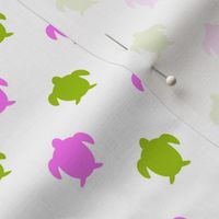 Pink and Green Turtles on White