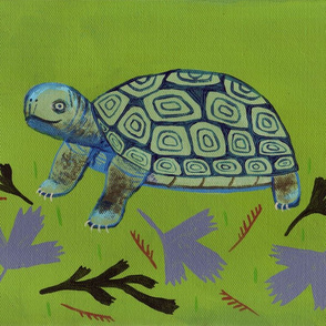 tortoise