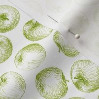 sketched apples - green on white