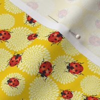 Cute Ladybug and Chrysanthemums