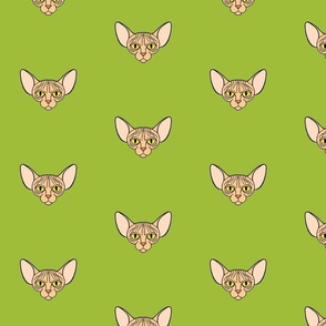 Sphynx Cat with Green Background