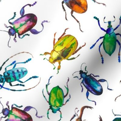 watercolor beetles