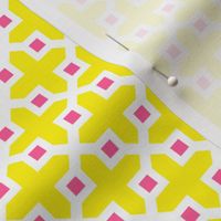 Cross Section Pattern Yellow and Pink