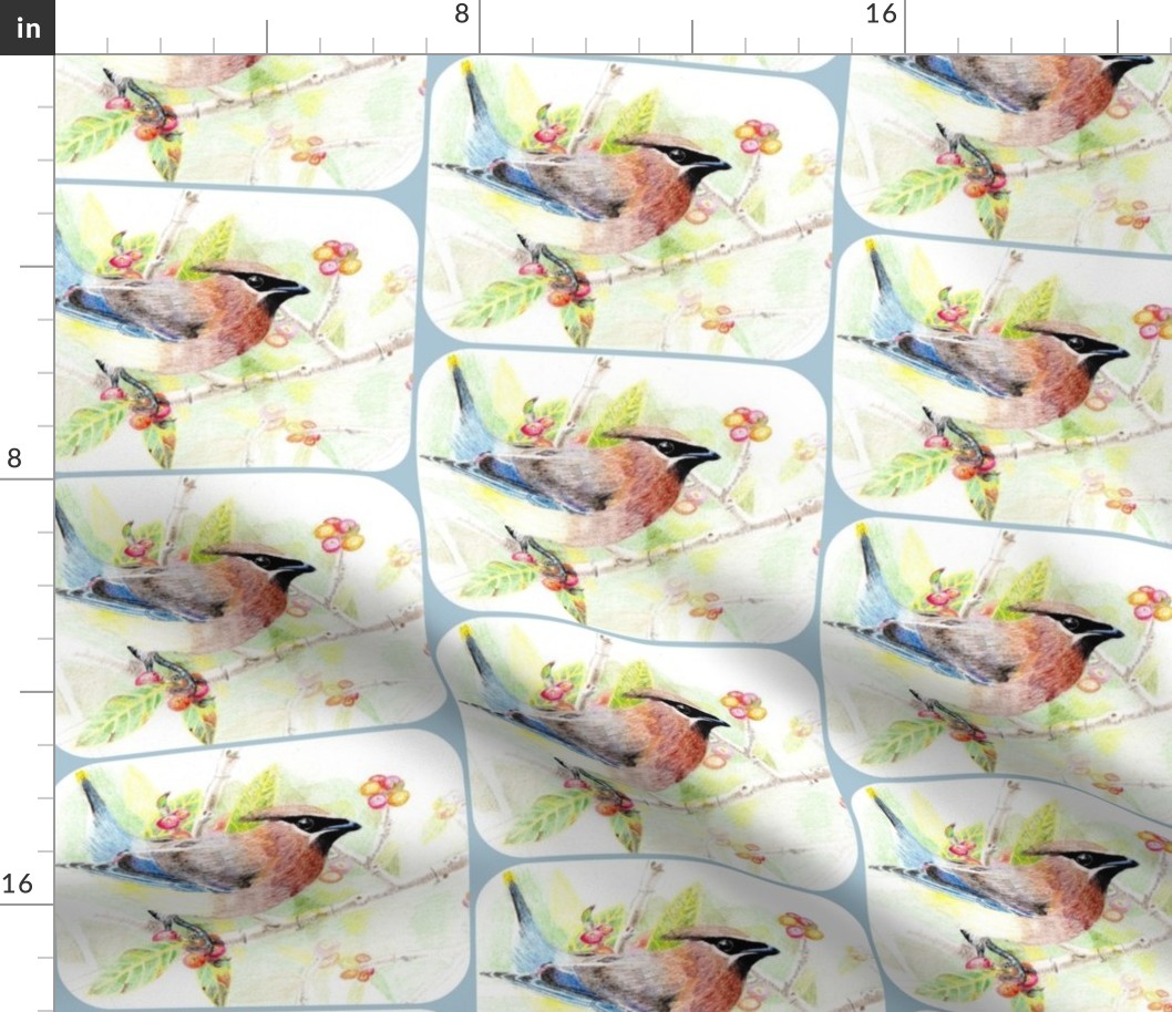 my drawing of a Cedar Waxwing- rounded, pale blue corners