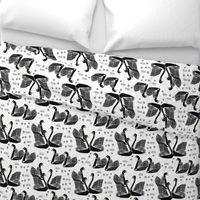 swans // black and white birds bird swan pond girls sweet baby nursery