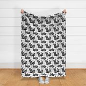 swans // black and white birds bird swan pond girls sweet baby nursery