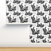 swans // black and white birds bird swan pond girls sweet baby nursery