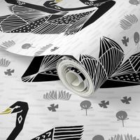 swans // black and white birds bird swan pond girls sweet baby nursery