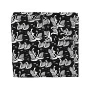 swans // black and white swans black background girls sweet lily water lilies ponds black and white baby nursery