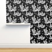 swans // black and white swans black background girls sweet lily water lilies ponds black and white baby nursery