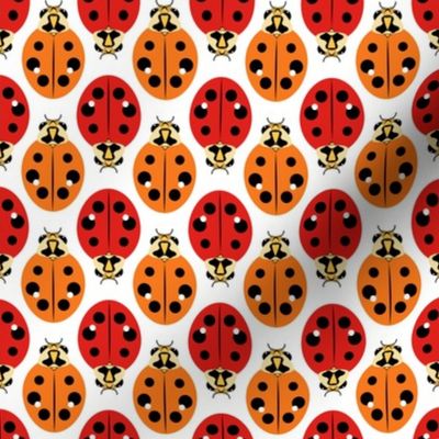 Ladybugs in Red and Orange