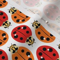 Ladybugs in Red and Orange