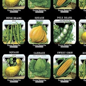 Seed Packets - 7in