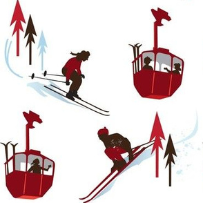 14-Skiersgondola