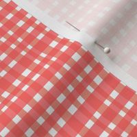 Candy Gingham