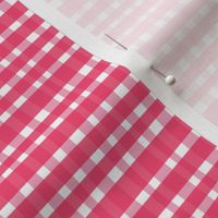 Raspberry Gingham