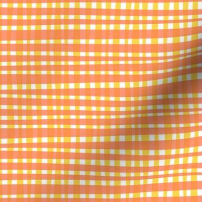 Citrus Gingham