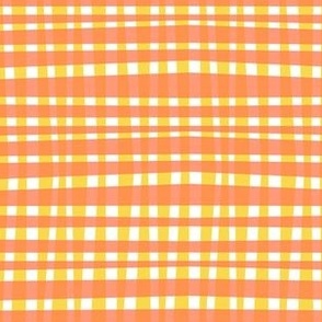 Citrus Gingham