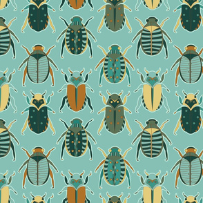 Scarab Beetles