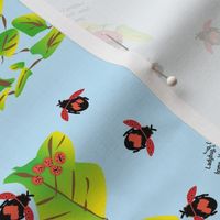 Ladybug, Ladybug ©️GargoyleSentry 