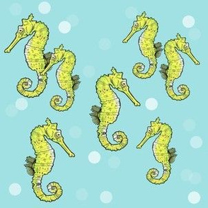 Seahorses Plus Dots