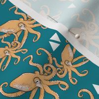 Octopus Plus Triangles