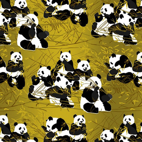 pandas-Pattern