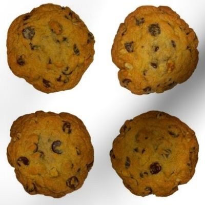 Fresh Out of the Oven - Chocolate Chip Cookies