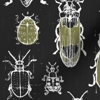 Sketchy Garden Beetles by Friztin
