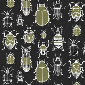 Sketchy Garden Beetles By Friztin Spoonflower