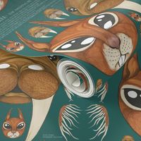 The Amazing Reversible Squirrel and Walrus Two Sided Halloween Mask