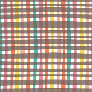 Chocolate Rainbow Gingham