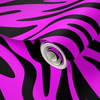 Pink Zebra