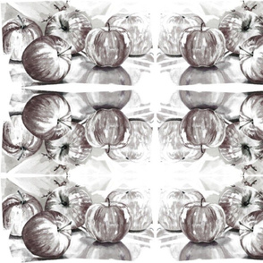 Apple Kaleidoscope B x W