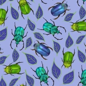 Green & Purple Beetle Scatter