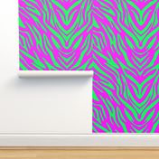 Pink and Green Zebra