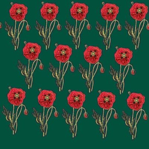 Bold Poppy- Green