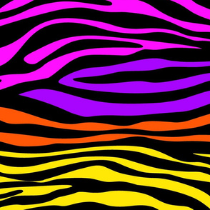 Colorful Zebra