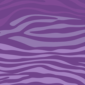 Purple Zebra
