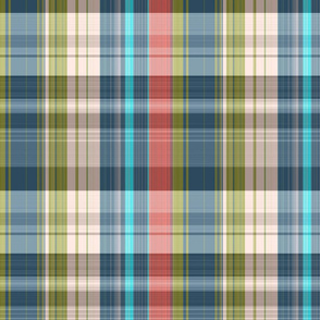 plaid 6