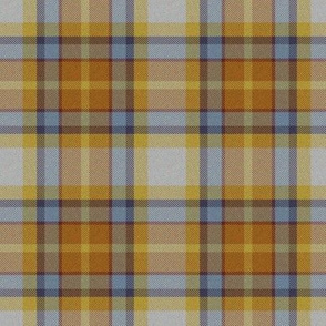 Autumn Plaid 11