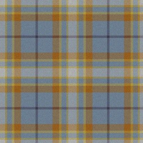 Autumn Plaid 4