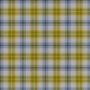 Autumn Plaid 6