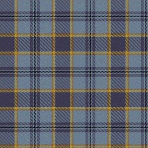 Autumn Plaid 8