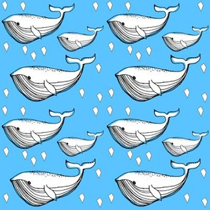 blue whale - elvelyckan