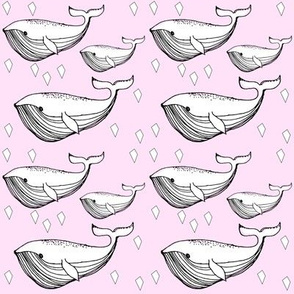 pink whale - elvelyckan
