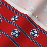 Tennessee Polka Dot