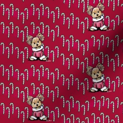 SMALL Girlie Yorkie Candy Canes